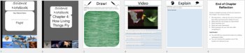 How Living Things Fly - Digital Interactive Notebook Pages, image 4