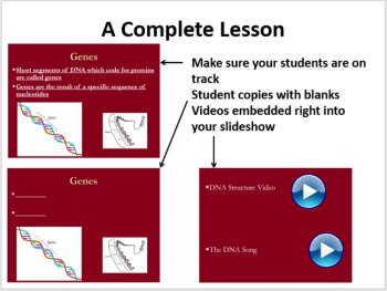 Genetic Material - DNA and RNA - 5E Lesson Bundle, image 3
