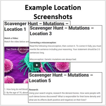 Mutations – Digital Scavenger Hunt Activity | Carcinogens, Cancer, Types, Effect, image 4