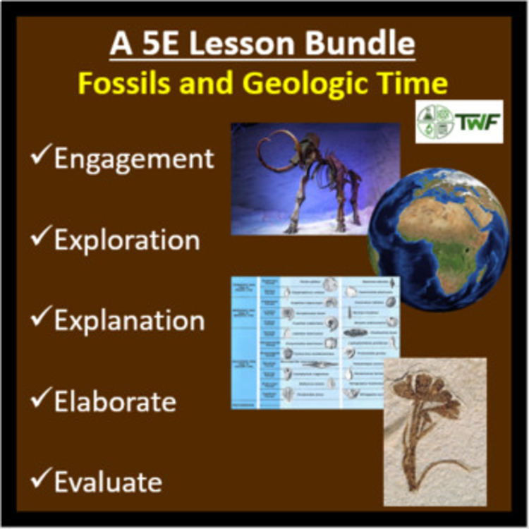 Fossils and Geologic Time - 5E Lesson Bundle | The Fossil Record & Fossilization