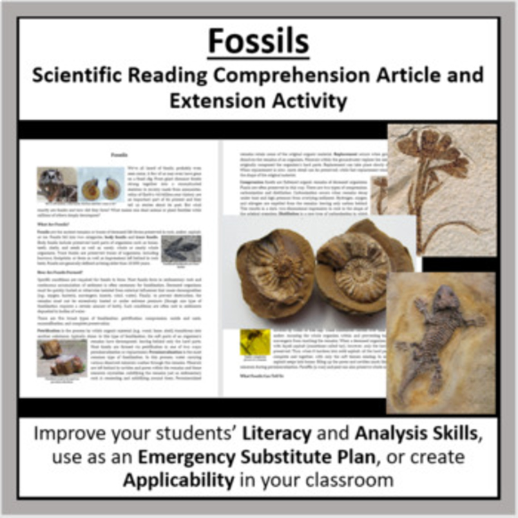 Fossils Reading Comprehension Passage and Questions - Grade 8 and Up