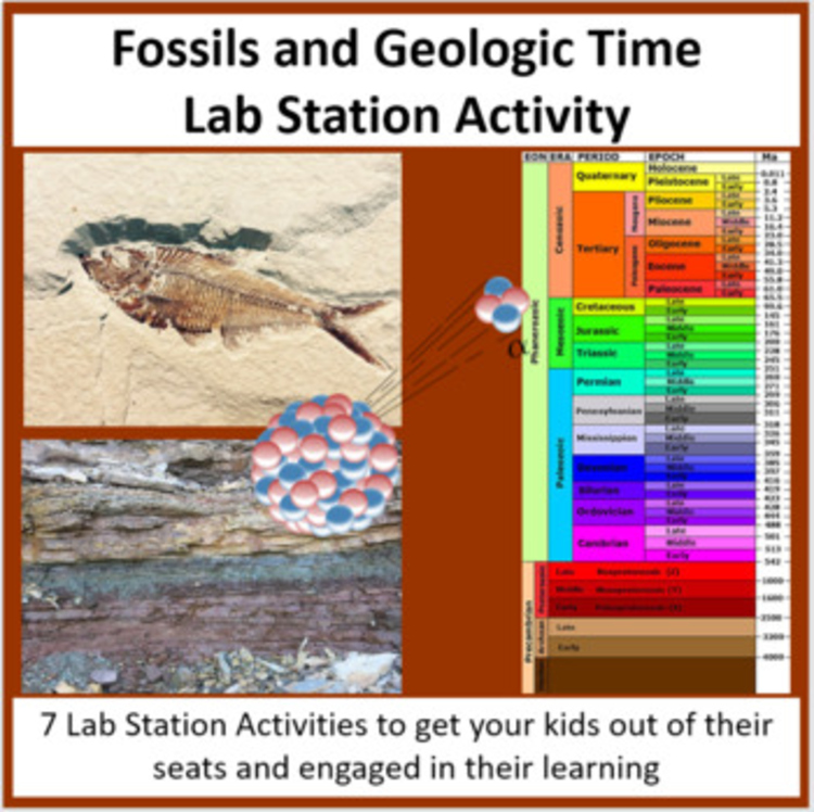 Fossils and Geologic Time Lab Station Activity | 7 Hands-on Activities