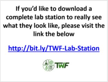 Fossils and Geologic Time Lab Station Activity | 7 Hands-on Activities, image 4