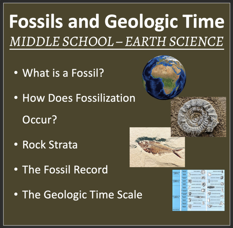 Fossils and Geologic Time - MS Earth Science Google Slides and PowerPoint Lesson