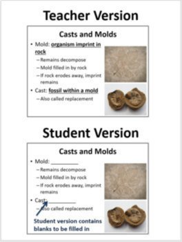 Fossils and Geologic Time - MS Earth Science Google Slides and PowerPoint Lesson, image 2