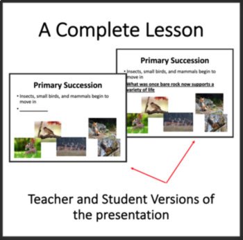 Ecological Succession - 5E Lesson Bundle, image 2
