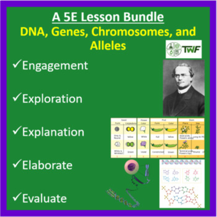 DNA, Genes, Chromosomes, and Alleles - 5E Lesson Bundle | Mendel, Inheritance