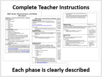 DNA, Genes, Chromosomes, and Alleles - 5E Lesson Bundle | Mendel, Inheritance, image 2