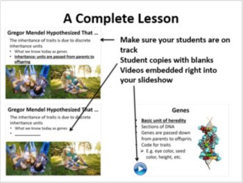 DNA, Genes, Chromosomes, and Alleles - 5E Lesson Bundle | Mendel, Inheritance, image 3