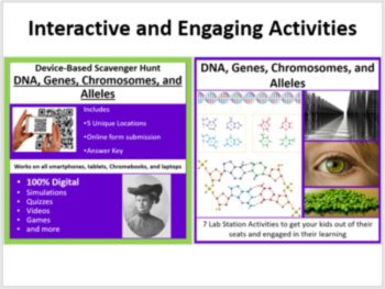 DNA, Genes, Chromosomes, and Alleles - 5E Lesson Bundle | Mendel, Inheritance, image 4