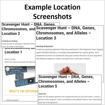 DNA, Genes, Chromosomes, and Alleles – A Digital Scavenger Hunt Activity, image 4
