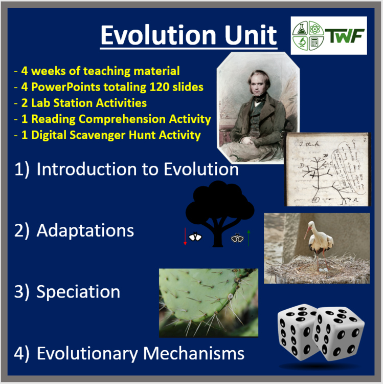 Evolution Curriculum Bundle | Adaptations, Physical & Behavioral Adaptations