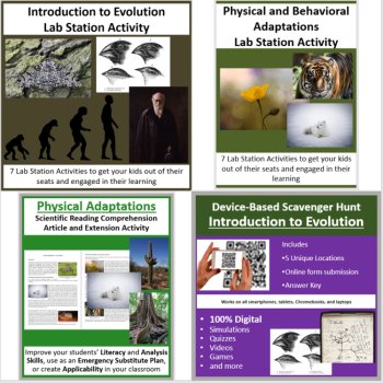Evolution Curriculum Bundle | Adaptations, Physical & Behavioral Adaptations, image 3
