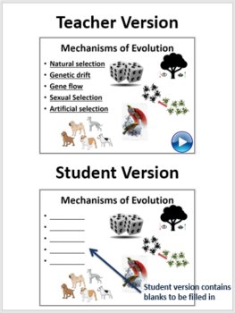 Evolutionary Mechanisms Lesson | Natural Selection, Genetic Drift, Gene Flow, image 2