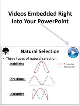 Evolutionary Mechanisms Lesson | Natural Selection, Genetic Drift, Gene Flow, image 3