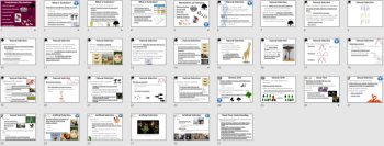 Evolutionary Mechanisms Lesson | Natural Selection, Genetic Drift, Gene Flow, image 4