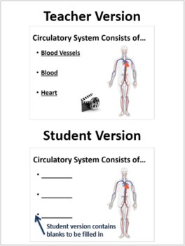 The Circulatory System Lesson | Lesson & Video Worksheet | 6th, 7th, 8th Grade, image 2
