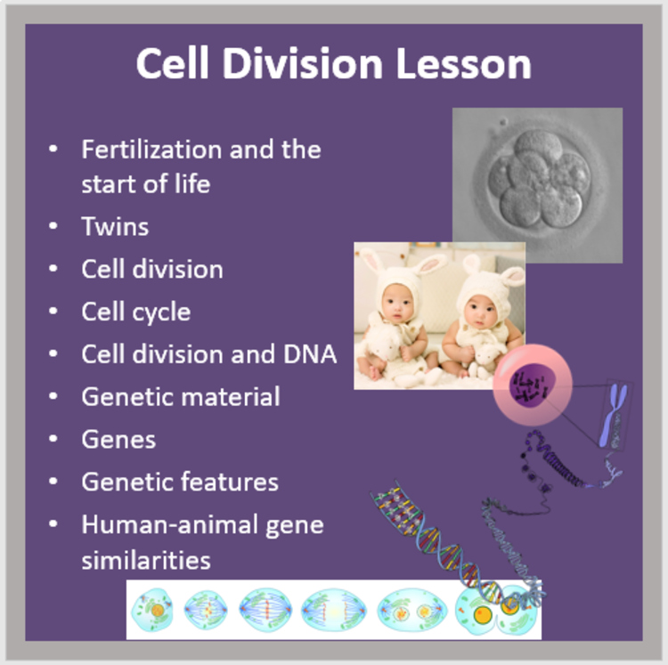 Cell Division - A Middle School Biology Lesson