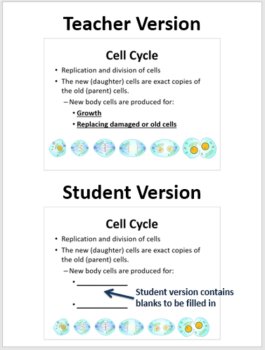 Cell Division - A Middle School Biology Lesson, image 2