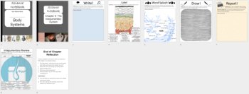 The Integumentary System - Digital Interactive Notebook Pages, image 4