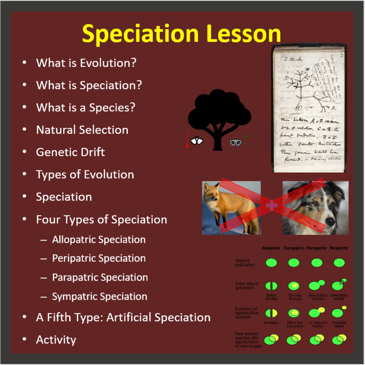 Speciation Lesson | Four Types of Speciation, Artificial Speciation, Evolution