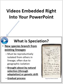 Speciation Lesson | Four Types of Speciation, Artificial Speciation, Evolution, image 3
