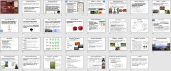 Speciation Lesson | Four Types of Speciation, Artificial Speciation, Evolution, image 4