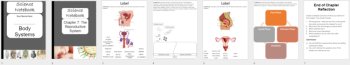 The Reproductive System - Digital Interactive Notebook Pages, image 4