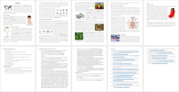 What are Allergies and What Causes Them? Reading Comprehension - Grade 8 and Up, image 3