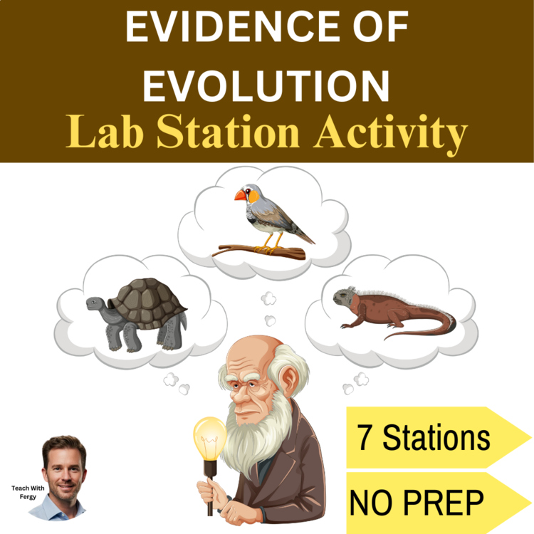 Evidence of Evolution Lab Station Activity | Peppered Moths, Adaptations, Darwin
