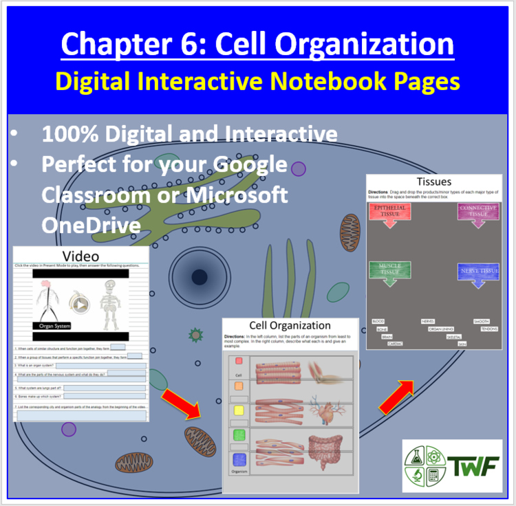 Cell Organization - Digital Interactive Notebook Pages