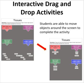 Cell Organization - Digital Interactive Notebook Pages, image 2