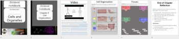 Cell Organization - Digital Interactive Notebook Pages, image 4