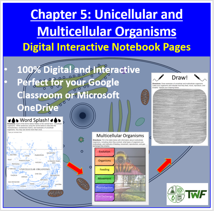 Unicellular & Multicellular Organisms - Digital Interactive Notebook Pages
