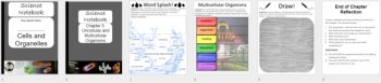 Unicellular & Multicellular Organisms - Digital Interactive Notebook Pages, image 4