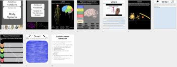 The Nervous System - Digital Interactive Notebook Pages, image 4