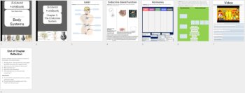 The Endocrine System - Digital Interactive Notebook Pages, image 4