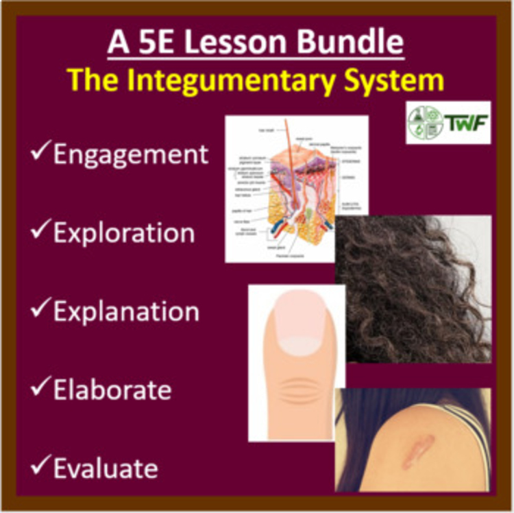 Integumentary System - 5E Lesson Bundle