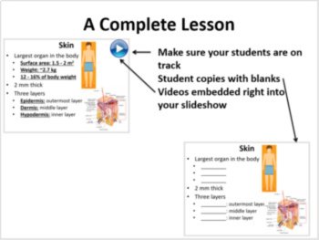 Integumentary System - 5E Lesson Bundle, image 3