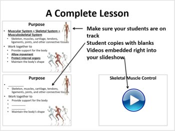 Muscular and Skeletal System - 5E Lesson Bundle | Structure and Function, image 3