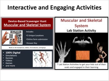 Muscular and Skeletal System - 5E Lesson Bundle | Structure and Function, image 4