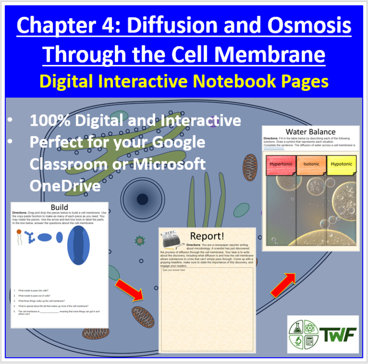 Diffusion & Osmosis Through Cell Membrane - Digital Interactive Notebook Pages