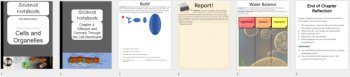 Diffusion & Osmosis Through Cell Membrane - Digital Interactive Notebook Pages, image 4