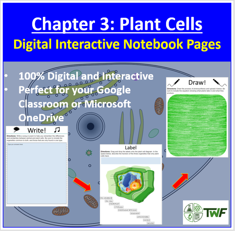 Plant Cells - Digital Interactive Notebook Pages