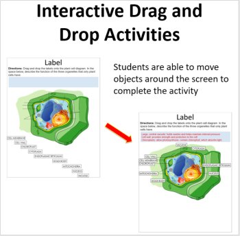 Plant Cells - Digital Interactive Notebook Pages, image 2