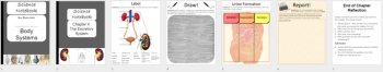 The Excretory System - Digital Interactive Notebook Pages, image 4