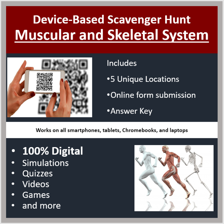Muscular and Skeletal System Digital Scavenger Hunt Activity | Muscles, Bones