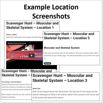 Muscular and Skeletal System Digital Scavenger Hunt Activity | Muscles, Bones, image 4