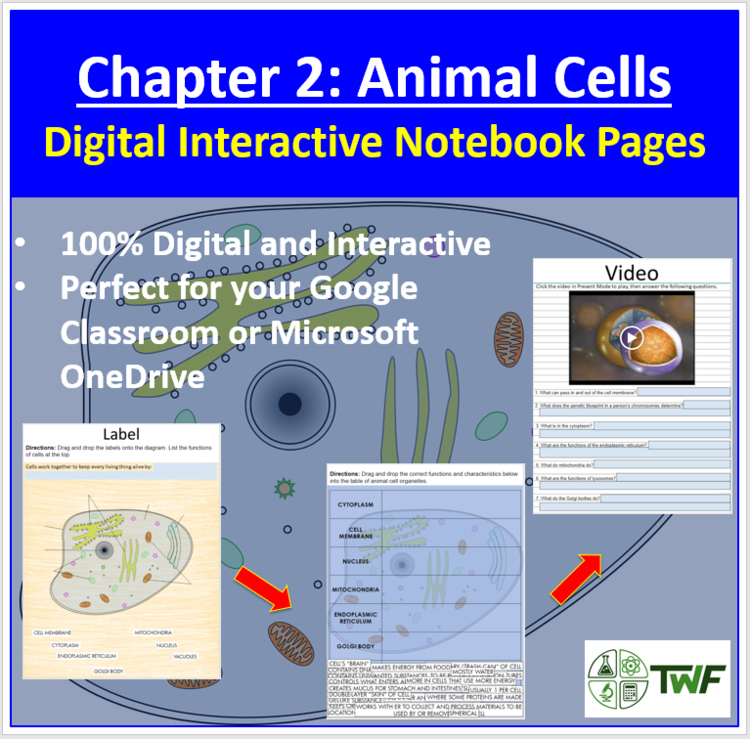 Animal Cells - Digital Interactive Notebook Pages