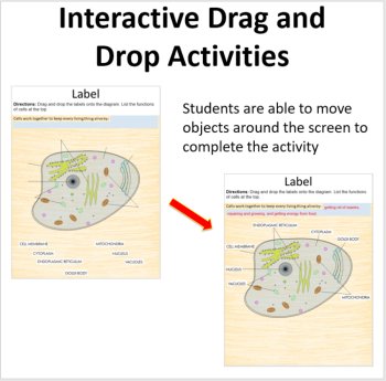 Animal Cells - Digital Interactive Notebook Pages, image 2